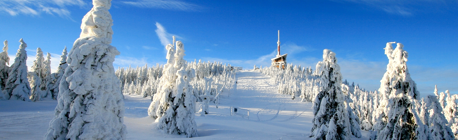 Silvestr v Hotelu Sepetná